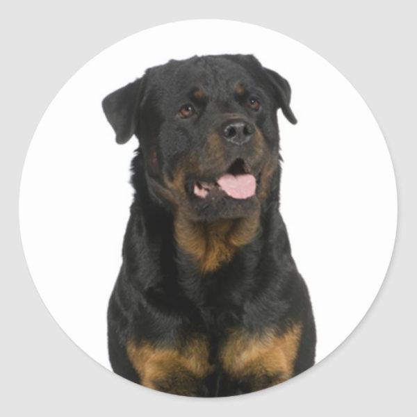 Love Rottweiler Puppy Dog Sticker / Seal