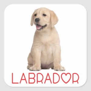 Love Yellow Labrador Retriever Puppy Dog Stickers