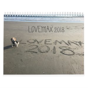 LOVEMAX 2018 CALENDAR