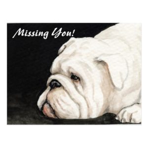 "Missing You" English Bulldog Postcard