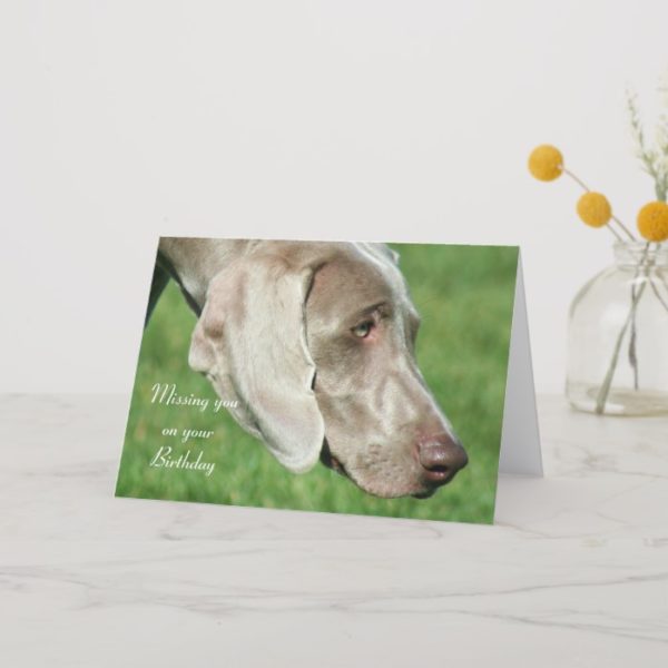 Missing you on your Birthday Weimaraner Card