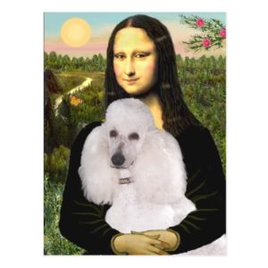 Mona-Pood-White-Standard Poodle Postcard