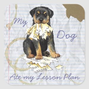 My Rottweiler Ate My Lesson Plan Square Sticker
