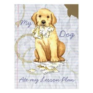 My Yellow Lab Ate my Lesson Plan Postcard