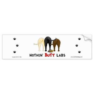 Nothin' Butt Labs Bumper Sticker
