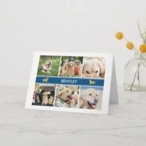 Personalized Retriever 6 Photo Collage Blue Stripe Card