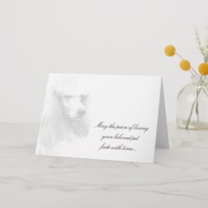 Pet Sympathy card Standard Poodle