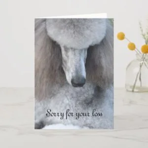 Pet sympathy card Standard Poodle