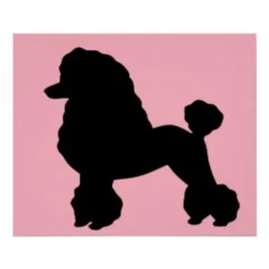 Pink Poodle Skirt Inspired Poster
