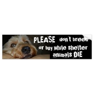 Please Dont Breed Or Buy While Shelter Animals Die Bumper Sticker