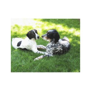 Pointer and Setter Canvas Print