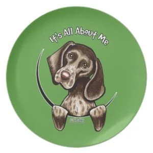 Pointer IAAM Plate