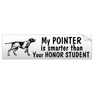 Pointer logo - Smarter than honor student -funny Bumper Sticker