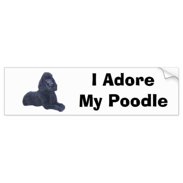 Poodle Black Bumper Sticker I Adore