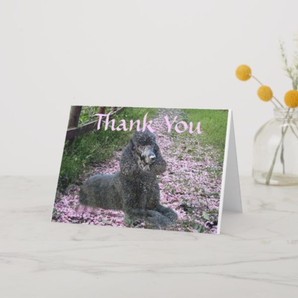 Poodle Black Thank You Card Flowers