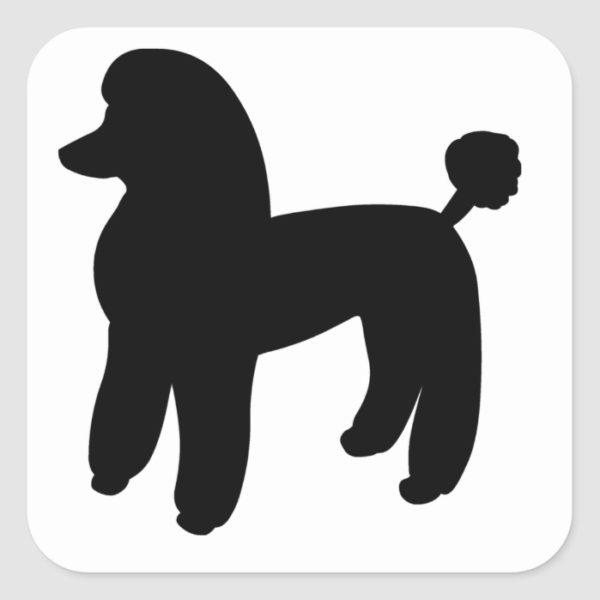 Poodle Dog Square Sticker