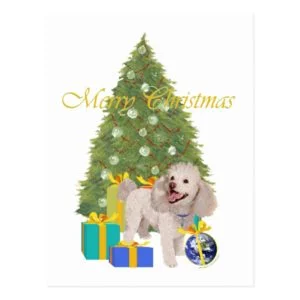 Poodle Postcard