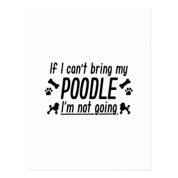 Poodle Postcard