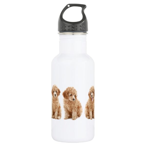 Poodles Water Bottle