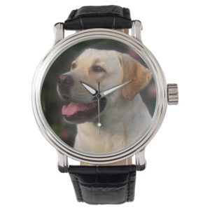 Portrait Of Labrador Retriever, Hilton Wrist Watch