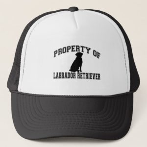 Property of Labrador Retriever Trucker Hat