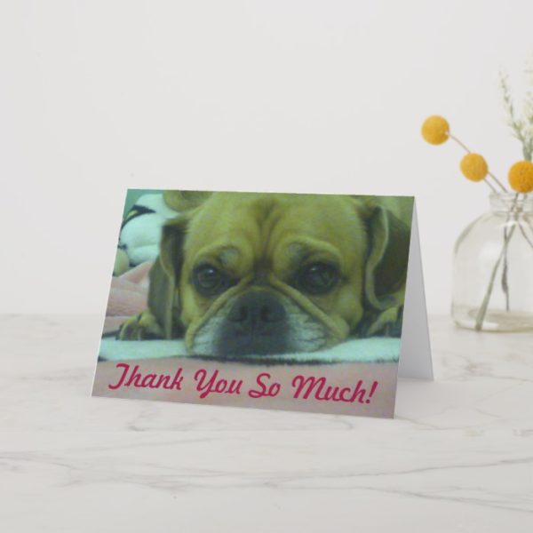 PUGGLE Thank you So Much greeting card