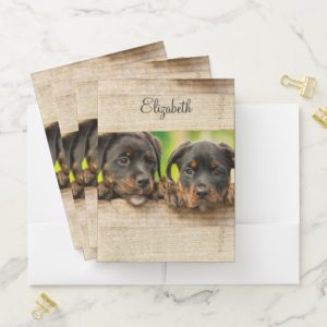Puppies, Rottweiler, Personalized Pocket Folder