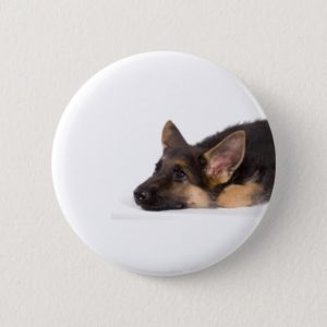 puppy german sheperd pinback button