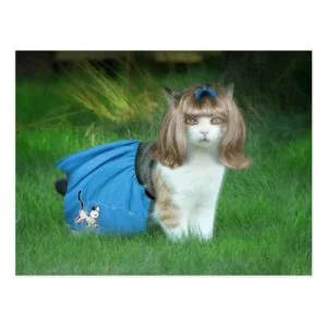 Ready for the Sock Hop! Postcard