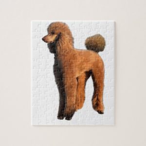 red poodle jigsaw puzzle