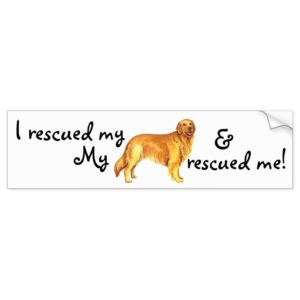 Rescue Golden Retriever Bumper Sticker