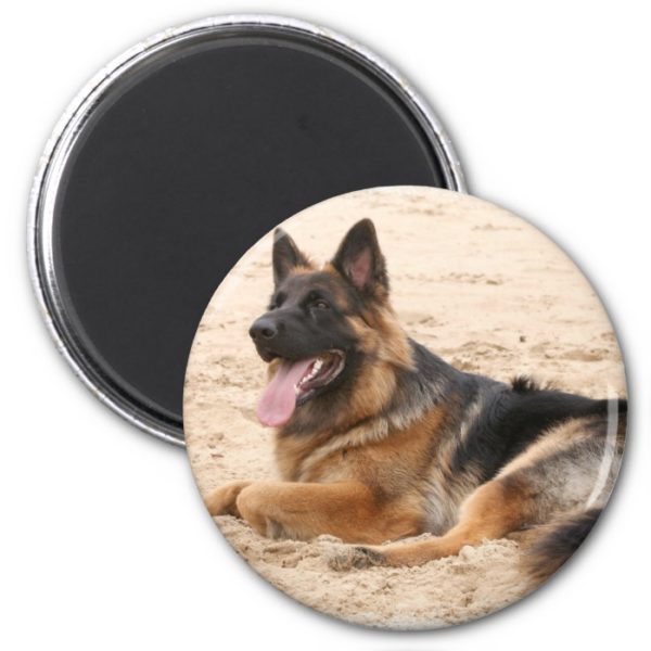 Resting German Shepherd Dog Magnet