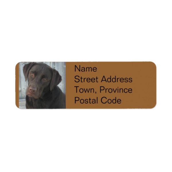 Return Address Labels - Chocolate Lab