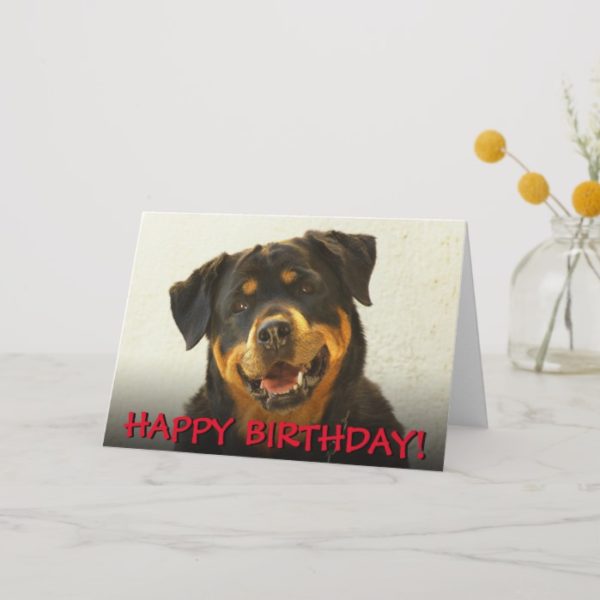 Rottweiler birthday card