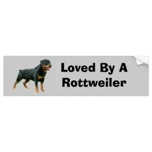 Rottweiler Bumper Sticker