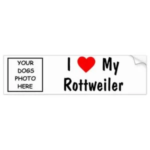 Rottweiler Bumper Sticker