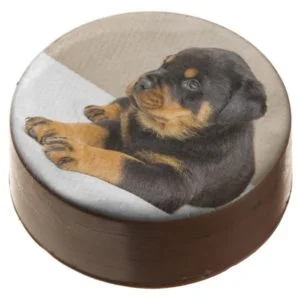 Rottweiler Chocolate Covered Oreo