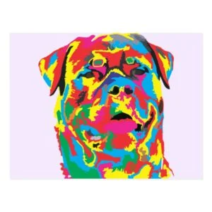 rottweiler color postcard