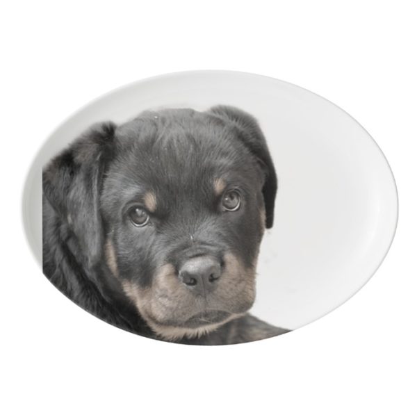 Rottweiler dog porcelain serving platter