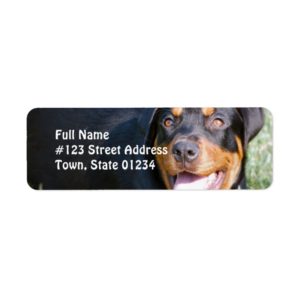 Rottweiler Dog Return Address Label