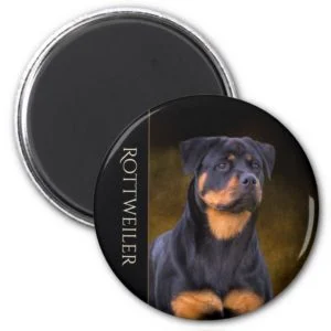 Rottweiler Fridge Magnet