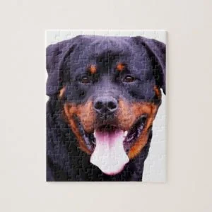 rottweiler jigsaw puzzle