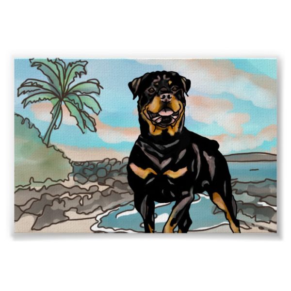 Rottweiler Playing at Hawaii Beach Poster