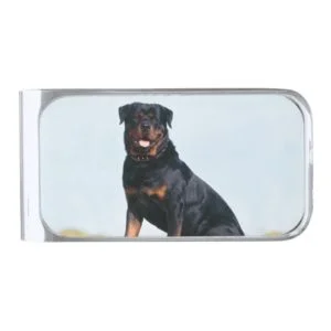 Rottweiler Portrait Money Clip