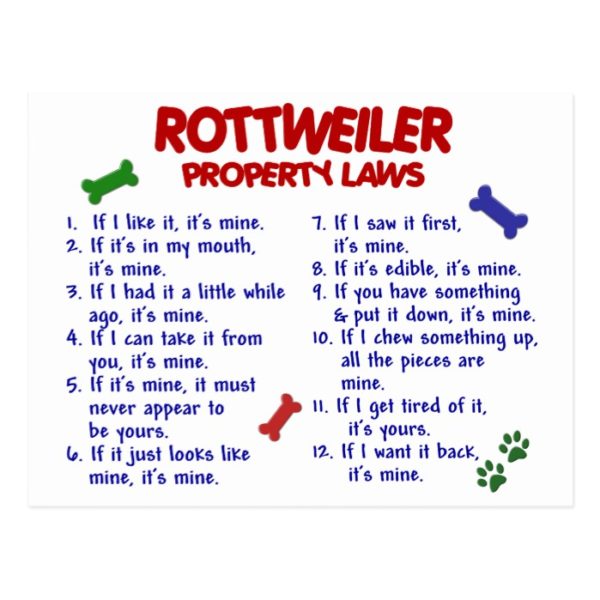 ROTTWEILER Property Laws 2 Postcard