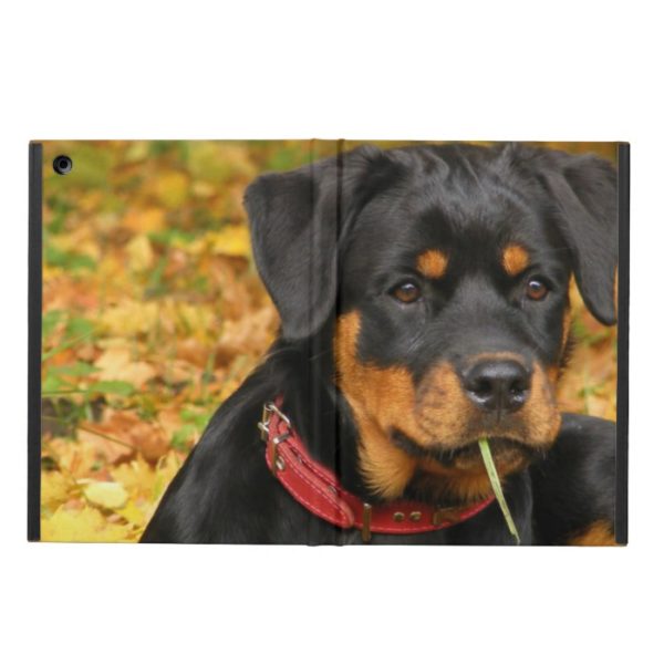 Rottweiler Pup Lying On The Ground In Forest Case For iPad Air