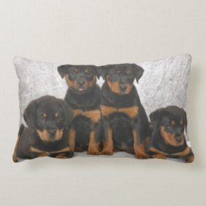Rottweiler puppies lumbar pillow