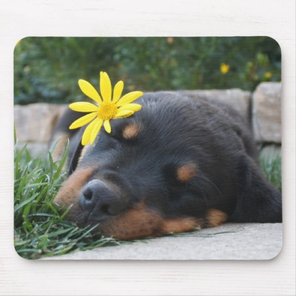 Rottweiler puppy mouse pad