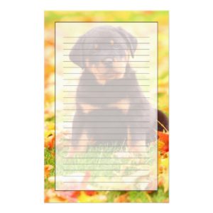 Rottweiler Puppy Sitting In Autumn Leaves Stationery