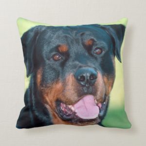 Rottweiler Throw Pillow